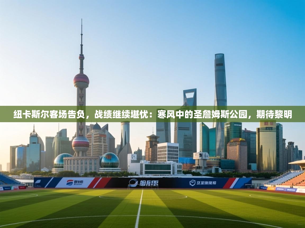 纽卡斯尔客场告负，战绩继续堪忧：寒风中的圣詹姆斯公园，期待黎明  第1张