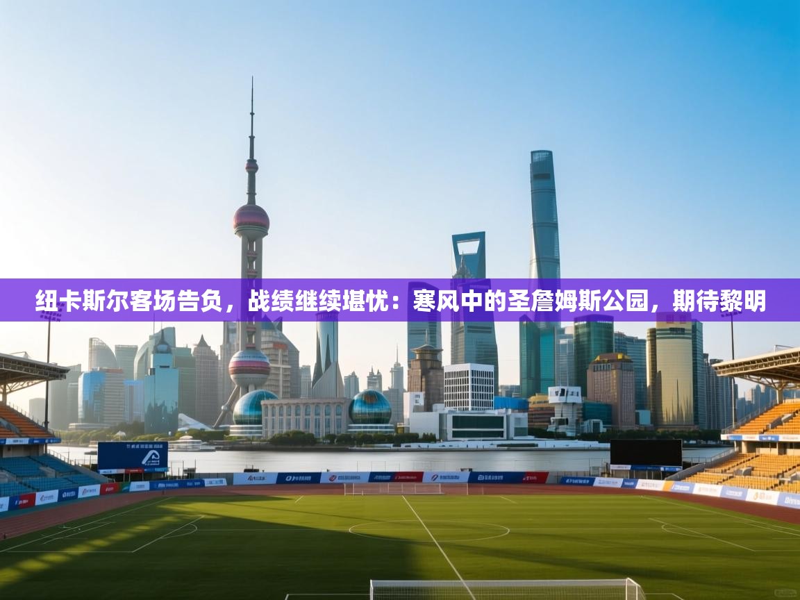 纽卡斯尔客场告负，战绩继续堪忧：寒风中的圣詹姆斯公园，期待黎明  第2张