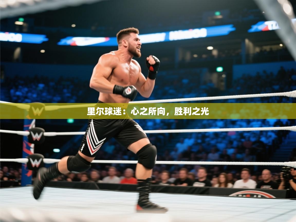 里尔球迷:心之所向,胜利之光 第1张
