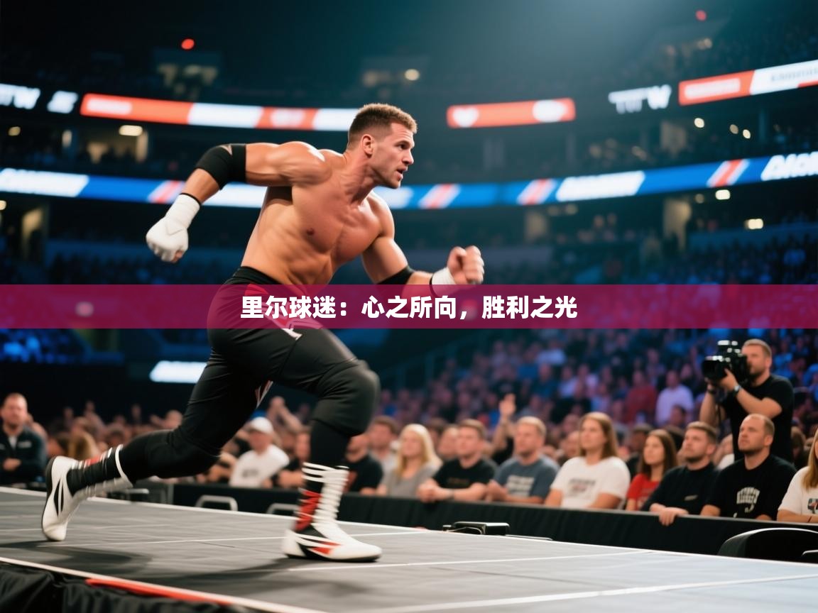 里尔球迷:心之所向,胜利之光 第2张